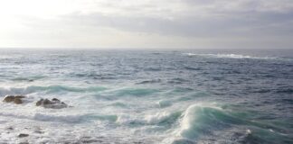 W jakim wieku facet jest atrakcyjny?