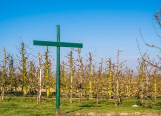 Jak napisać regulamin zawodów sportowych? Jak napisać regulamin zawodów sportowych?