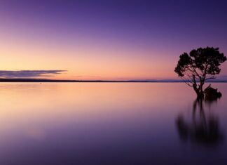Ile wody pić podczas biegu? Ile wody pić podczas biegu?