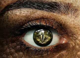 Co z ucznia który nie zdał egzaminu poprawkowego? Co z ucznia który nie zdał egzaminu poprawkowego?