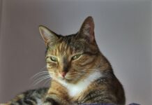 Co znaczy intuicyjny interfejs? Co znaczy intuicyjny interfejs?