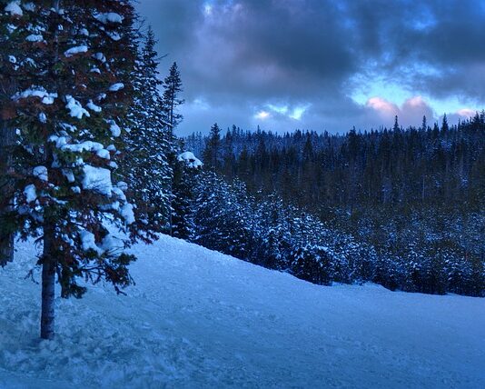 Czy po licencjacie można być księgowym? Czy po licencjacie można być księgowym?