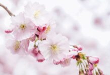 Ile słów jest na całym świecie? Ile słów jest na całym świecie?