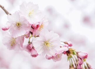 Ile słów jest na całym świecie?