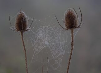 Czy są sprawdziany na studiach? Czy są sprawdziany na studiach?