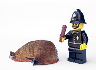 Jak egzekwować obowiązki od pracowników?