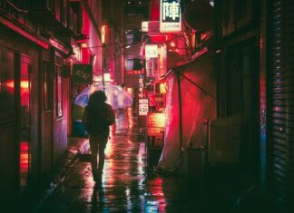 Czym charakteryzuje się język?