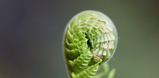 Jak rozwijać umiejętności przywódcze?