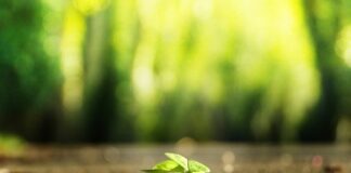 Jak zacząć własny startup?