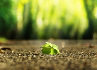 Jak zacząć własny startup?