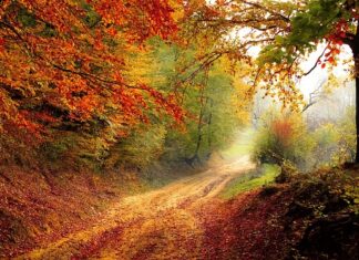 Kiedy 8 klasy kończą rok szkolny 2023? Kiedy 8 klasy kończą rok szkolny 2023?