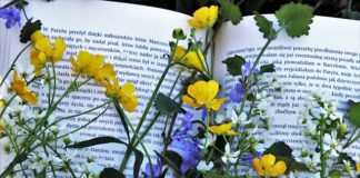 Jaka lektura będzie na e8 2023?