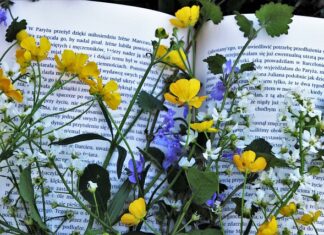 Jaka lektura będzie na e8 2023?