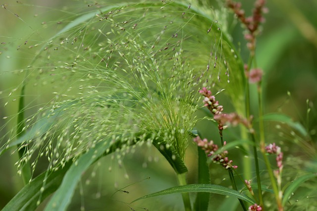 Skąd pochodzi pierwsza forma języka pisanego? Skąd pochodzi pierwsza forma języka pisanego?