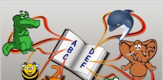 Z czego zwalnia CAE?