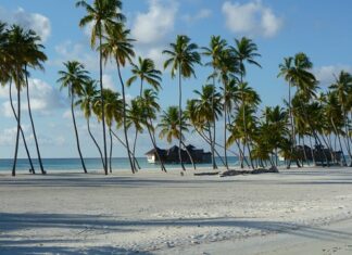 Czy jedynkę na semestr trzeba poprawiać? Czy jedynkę na semestr trzeba poprawiać?