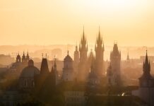 Gdzie widzisz siebie za 5 lat jakie masz cele zawodowe?