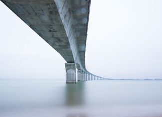 Czy fundacja musi płacić ZUS?