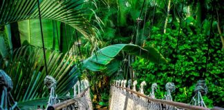 Ile trwa kurs księgowego?