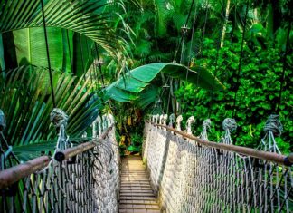 Ile trwa kurs księgowego?